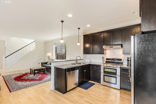 kitchen featuring tasteful backsplash, light wood-style floors, stainless steel appliances, under cabinet range hood, and a sink