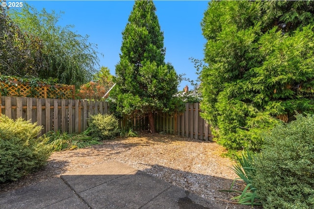 view of yard featuring a fenced backyard and a patio