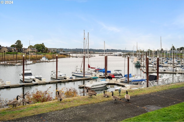 dock area with a water view