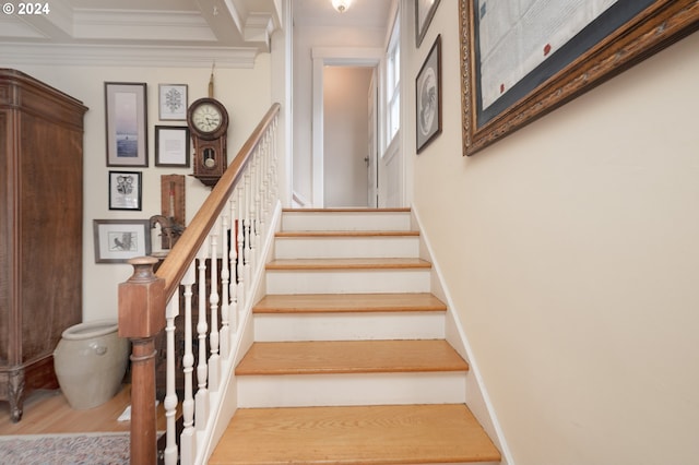 staircase featuring ornamental molding, coffered ceiling, baseboards, and wood finished floors