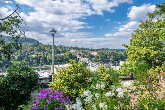 509 High St, Oregon City, OR 97045 - view of mountain backdrop