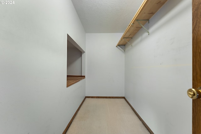 spacious closet featuring light colored carpet