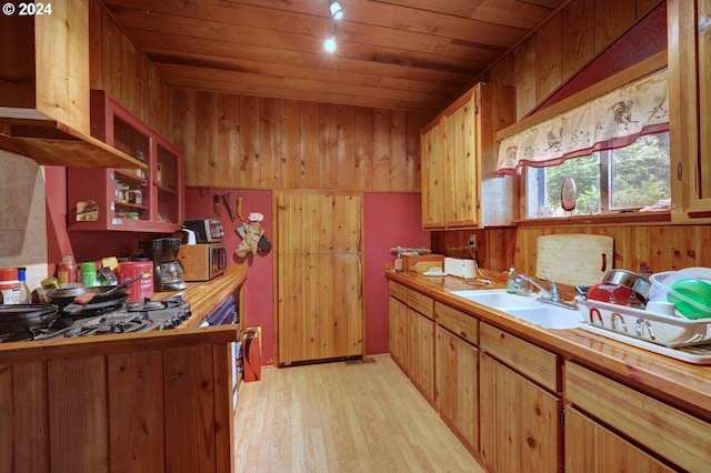 kitchen featuring sink, wood walls, light wood-type flooring, wooden ceiling, and appliances with stainless steel finishes