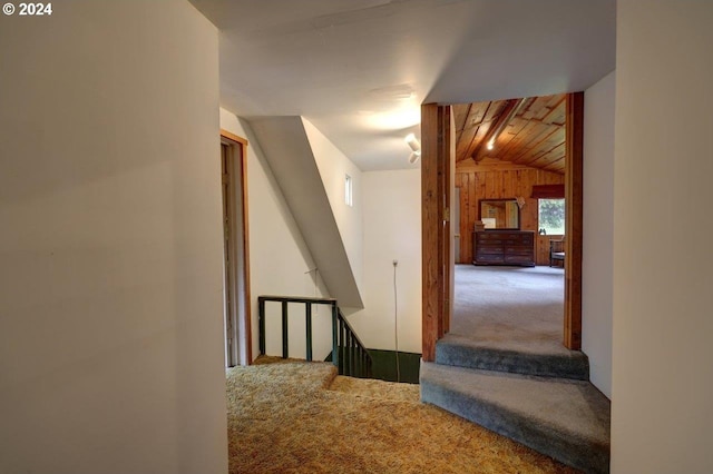 hallway featuring lofted ceiling and carpet