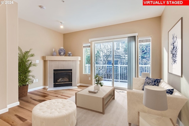 living room with a fireplace and light hardwood / wood-style flooring