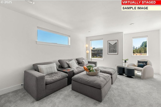 3825 S Arwana Ln, Ridgefield, WA 98642 - living area with carpet
