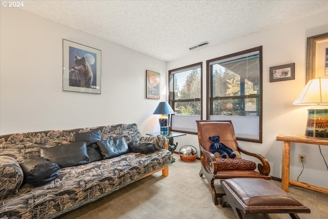 carpeted living room with a textured ceiling