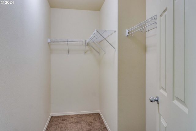 spacious closet featuring carpet flooring