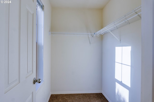 walk in closet with dark carpet