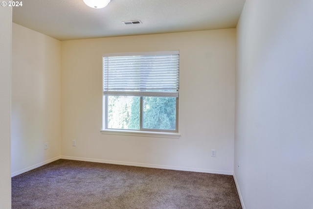 unfurnished room with carpet flooring