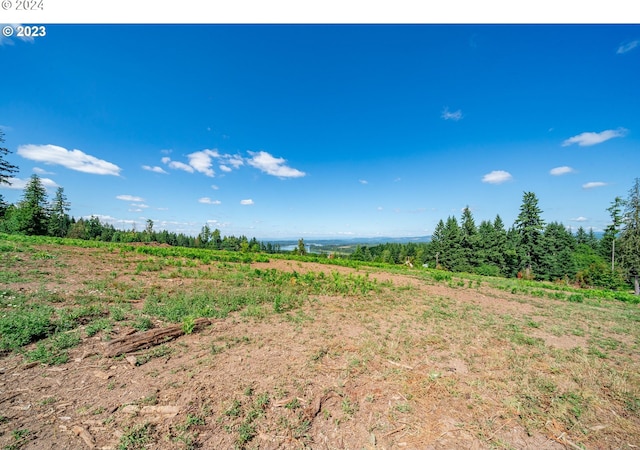 Listing photo 3 for 0 S Silver Lake Rd Unit 6, Castle Rock WA 98611