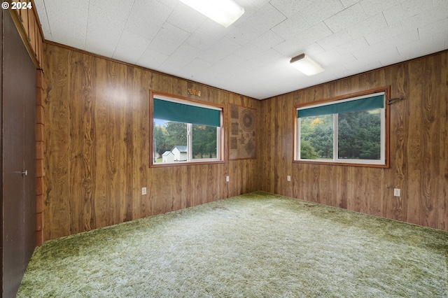 spare room with carpet floors, wood walls, and a healthy amount of sunlight