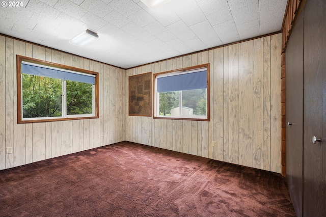 carpeted empty room featuring wooden walls