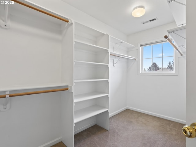 walk in closet featuring light colored carpet