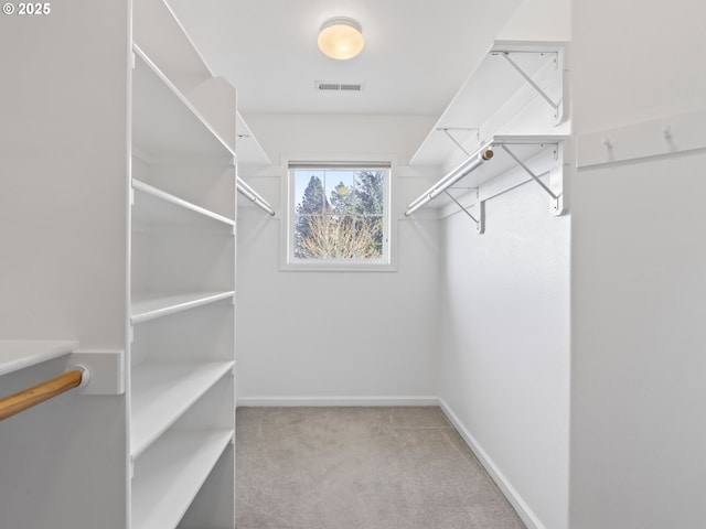 spacious closet with light carpet