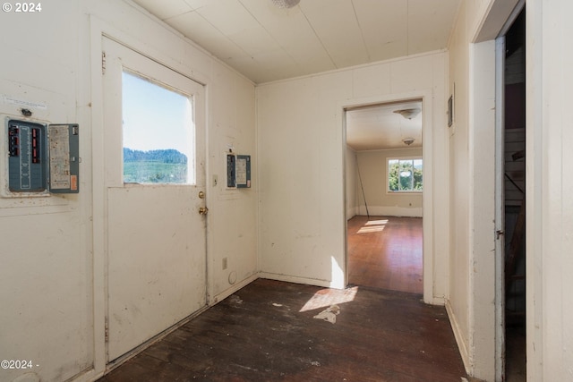 hallway with electric panel and dark wood-type flooring