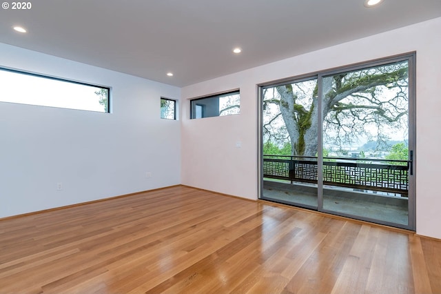 empty room featuring a wealth of natural light and light hardwood / wood-style flooring