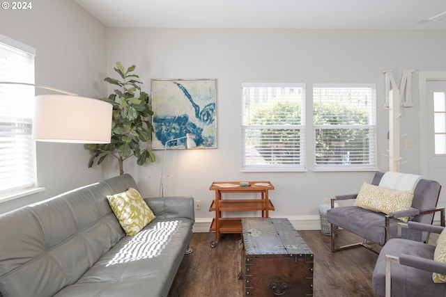 living room featuring a wealth of natural light and dark hardwood / wood-style floors