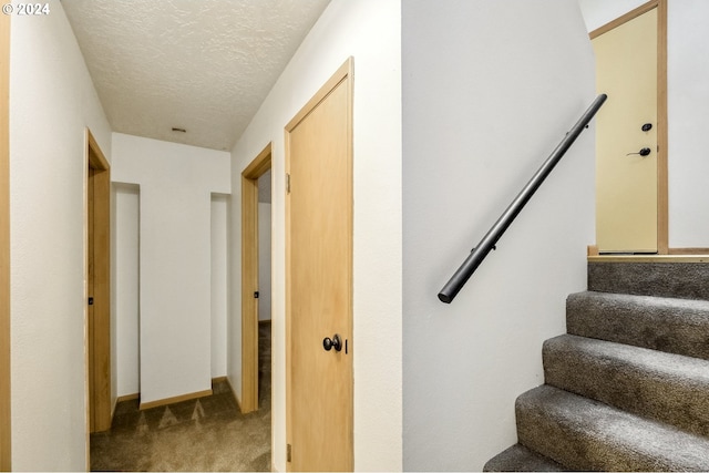 stairway featuring carpet floors and a textured ceiling