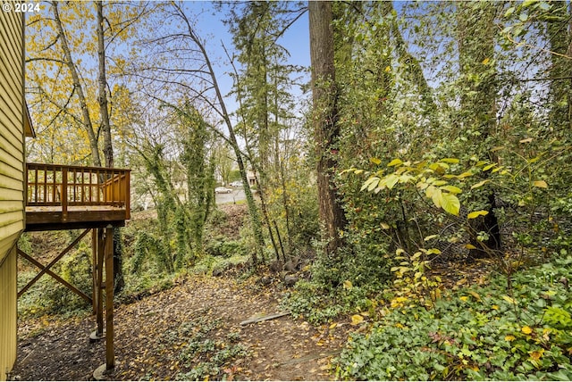 view of yard with a wooden deck