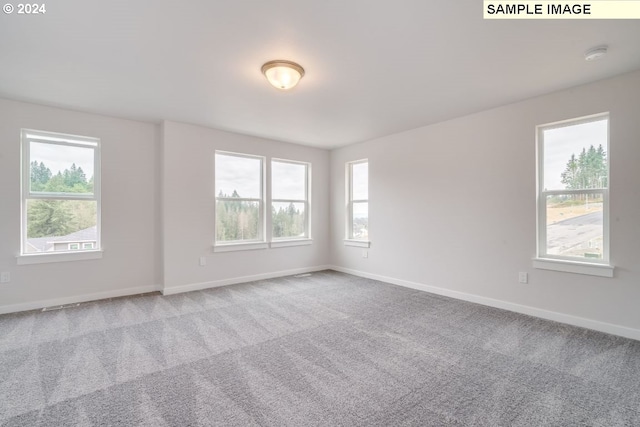 unfurnished room with carpet flooring