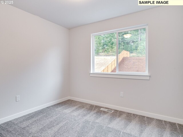 carpeted spare room with a wealth of natural light