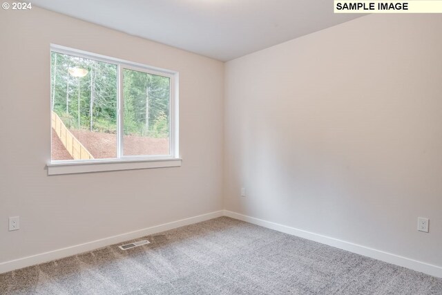 unfurnished room featuring carpet