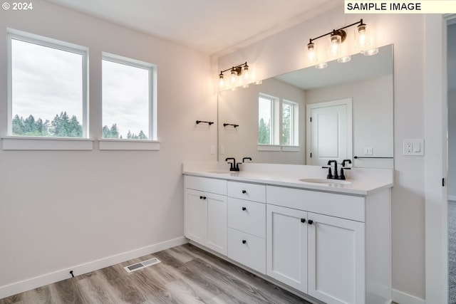 bathroom with hardwood / wood-style floors and vanity