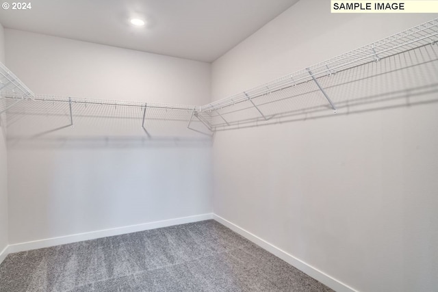 walk in closet with carpet flooring