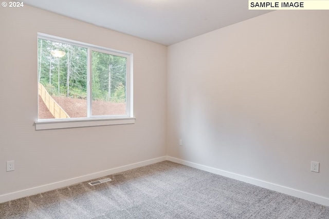 empty room featuring carpet flooring and plenty of natural light