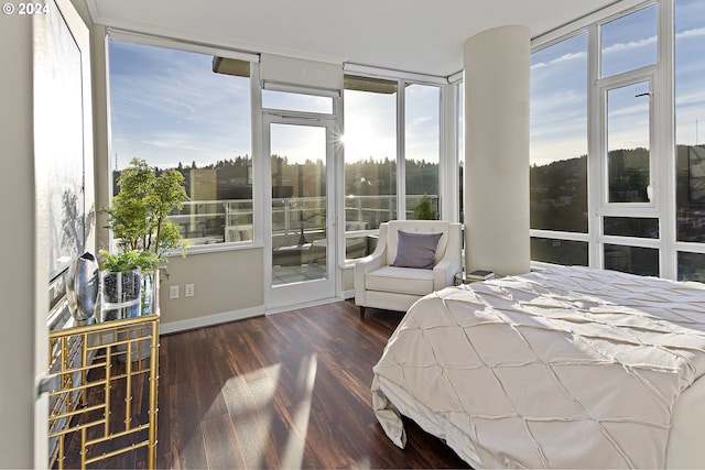 bedroom featuring floor to ceiling windows, dark wood-type flooring, and access to outside