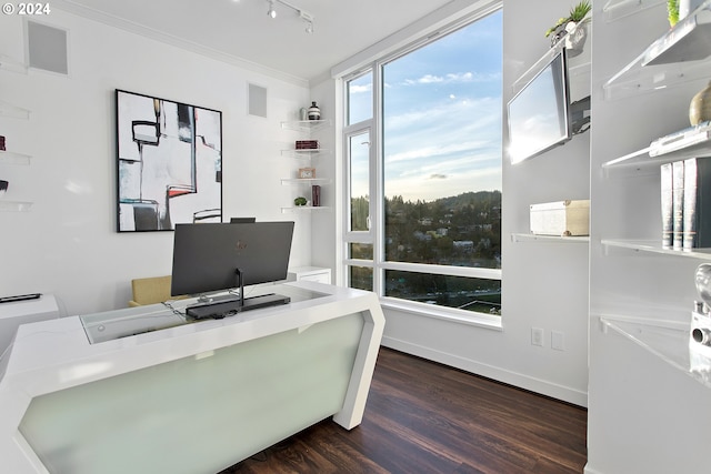 office featuring crown molding and dark hardwood / wood-style flooring