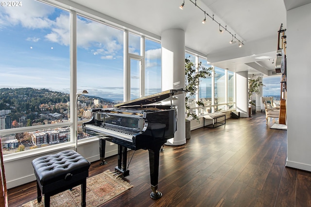 miscellaneous room with rail lighting, dark hardwood / wood-style floors, and a water view