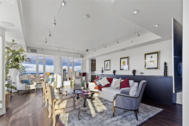 living room featuring track lighting and dark hardwood / wood-style floors