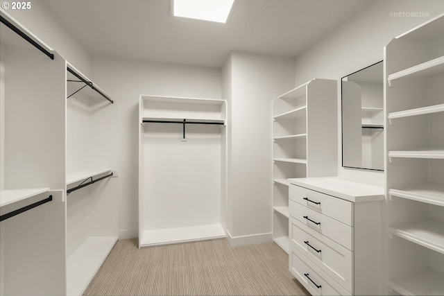 spacious closet featuring light colored carpet