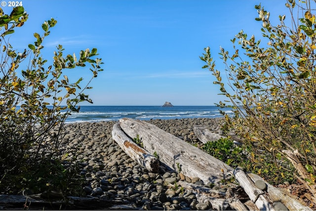 property view of water featuring a beach view