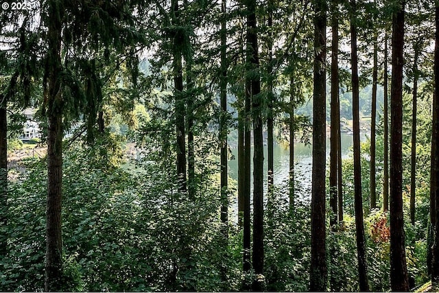 view of nature with a water view