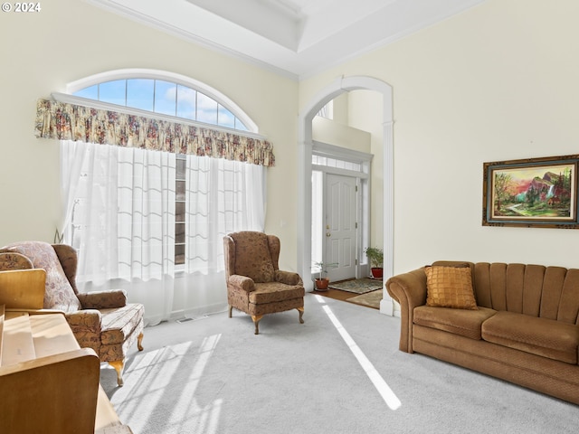 interior space with light carpet, a towering ceiling, a tray ceiling, and ornamental molding