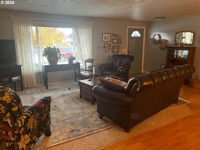 living room featuring hardwood / wood-style floors and a textured ceiling