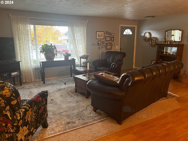 living area featuring wood finished floors and a textured ceiling