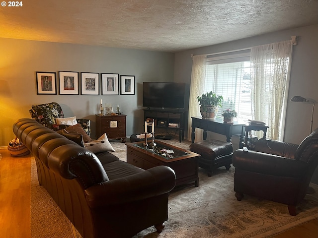 living area featuring a textured ceiling and wood finished floors