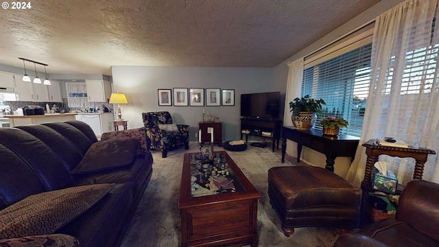 living room with plenty of natural light, a textured ceiling, and carpet
