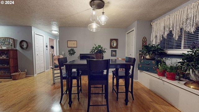 dining room featuring hardwood / wood-style floors and a textured ceiling