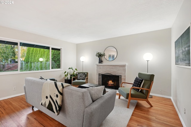 living room featuring a fireplace and light hardwood / wood-style floors