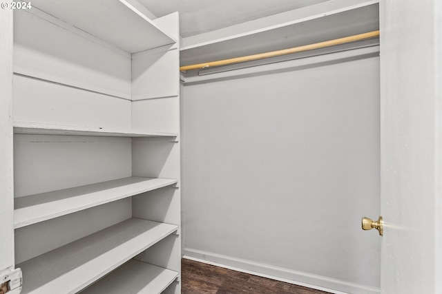 walk in closet featuring wood-type flooring