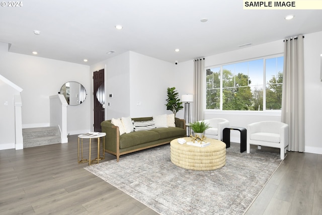 living room featuring wood-type flooring