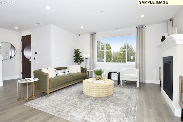 living room featuring light hardwood / wood-style flooring