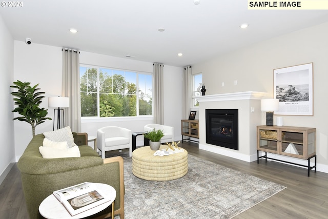 living room featuring dark hardwood / wood-style flooring