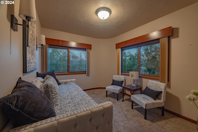 bedroom featuring a textured ceiling, multiple windows, and light carpet