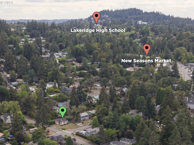 1212 Laurel St Unit 9, Lake Oswego, OR 97034 - drone / aerial view of a forest